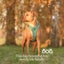 Auckland Puppy Rescue - BOUNTY Carousel 2