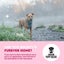 Auckland Puppy Rescue - BOUNTY Carousel 10
