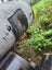 Steel Concrete Lined Culvert Pipe, 695mm OD x 6.4mm WT x 3800mm L Carousel 5
