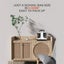 15Kpa Portable Carpet Cleaner with Dual Brushhead Upholstery Shampooer W05 Carousel 7