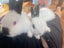 Rabbits/Bunnies- Mini Lop Mix (2 boys 1 girl) Carousel 9