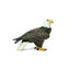 Loading Image 1 of 5