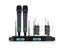 Professional Wireless Microphone System Gooseneck Desktop Conference Microphone Carousel 7