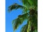 Custom 3D Photo Wallpaper Seascape Beach Palm For Living/Bedroom Background Carousel 6