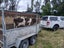 Loading Image 5 of 5