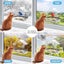 Acrylic Window Bird Feeder Detachable Birds Feeders Tray Transparent Outside Carousel 5
