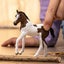 Schleich Paint Horse Foal Carousel 2