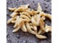 PTN NEW Soft Artificial Bread Worm Fishing Lure Sale Sale Sale Carousel 5