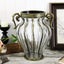 SOGA Clear European Glass Home Decor Flower Vase with Two Metal Handle Carousel 3