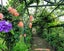 gallery view thumbnail