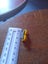 Retro Taylor Lewis Butterfly Pin Carousel 3