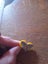 Retro Taylor Lewis Butterfly Pin Carousel 2