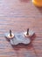 Retro Taylor Lewis Butterfly Pin Carousel 4