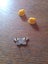 Retro Taylor Lewis Butterfly Pin Carousel 5
