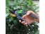 Pruning Shears Scissors Carousel 7