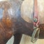 Elegant leather horse Carousel 4