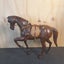 Elegant leather horse Carousel 8