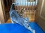 Two pedigree ocicat girls Carousel 12