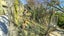 gallery view thumbnail