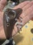 double ocarina flute $1!!! Carousel 2