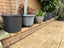 Planting Pot + Dish , 400mm wide 320mm tall Carousel 4