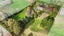 gallery view thumbnail