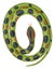 Wild Republic Rubber Snake (Anaconda) Carousel 1