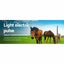 ELECTRIC FENCE ENERGISER - (NZ CLEARANCE) Carousel 3
