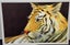 100% Handmade Oil Painting Carousel 1