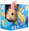 Pugs at Play: Cookie the Hare Carousel 1