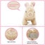 Pugs at Play: Cookie the Hare Carousel 2