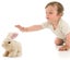 Pugs at Play: Cookie the Hare Carousel 3