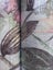 Wallpaper. Flower Garden - Green & Pink. PTW. Carousel 4