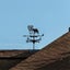 Weather Vane Wheaten Terrier Dog Metal Weather Vane Vintage wind vane Durable Carousel 5