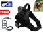 Adjustable Dog Harness Local Clearance Carousel 1