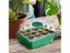 Seed Starter Tray Plant Starter Kit And Base Mini Greenhouse Germination Kit Carousel 3