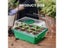 Seed Starter Tray Plant Starter Kit And Base Mini Greenhouse Germination Kit Carousel 4