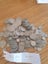New Zealand pre decimal coins 1kilo Carousel 2