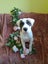 Doreen-Pukekohe Adoption Centre Carousel 5