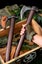 42cm VIKING BATTLE AXE RailSteel Hatchet Tactical Outdoor Hunting Camping Carousel 1