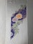 Vintage Japanese Floral Print Silk Fabric Piece Carousel 13