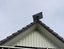 Starlink Standard Gen 3 V4 Dish Wall Mount Carousel 4