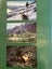 Shadows on the Hill - The Remarkables Station, Queenstown by D.G Jardine Carousel 8