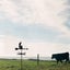 Weathercock Direction Indicator Metal wind vane Orchard Farm Weather Vane Blac Carousel 6
