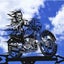Loading Image 1 of 1