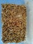 Mega Deluxe Mealworm farm breed your own reptile food Carousel 2