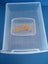 Mega Deluxe Mealworm farm breed your own reptile food Carousel 3