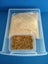 Mega Deluxe Mealworm farm breed your own reptile food Carousel 4