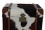 TNC Trunk Cabinet, Leather and Fur, ATK029 Carousel 6