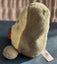 Airy the Avocado Palm Pals Carousel 2